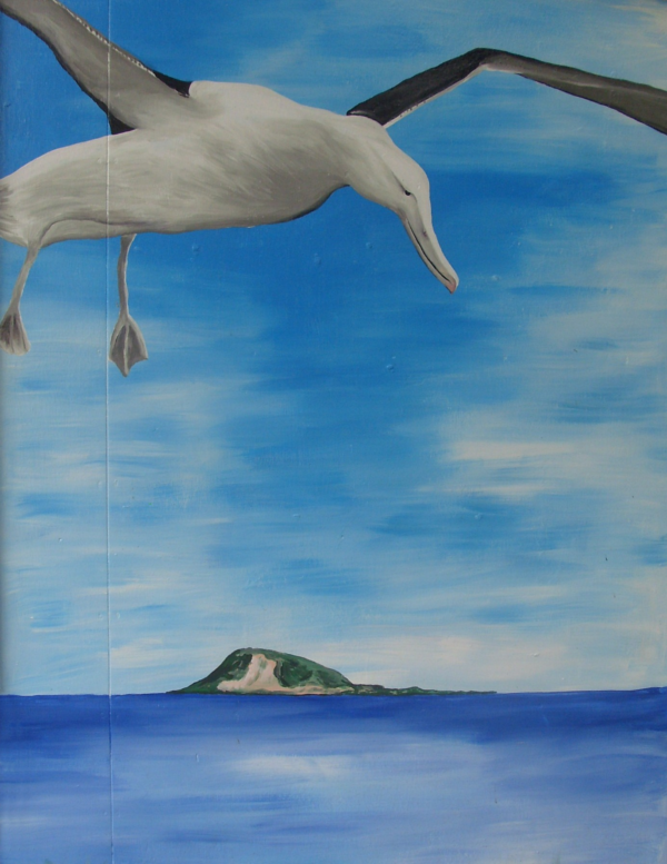Albatross